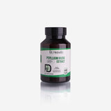 Dr. H Capsule Powder Psyllium Husk