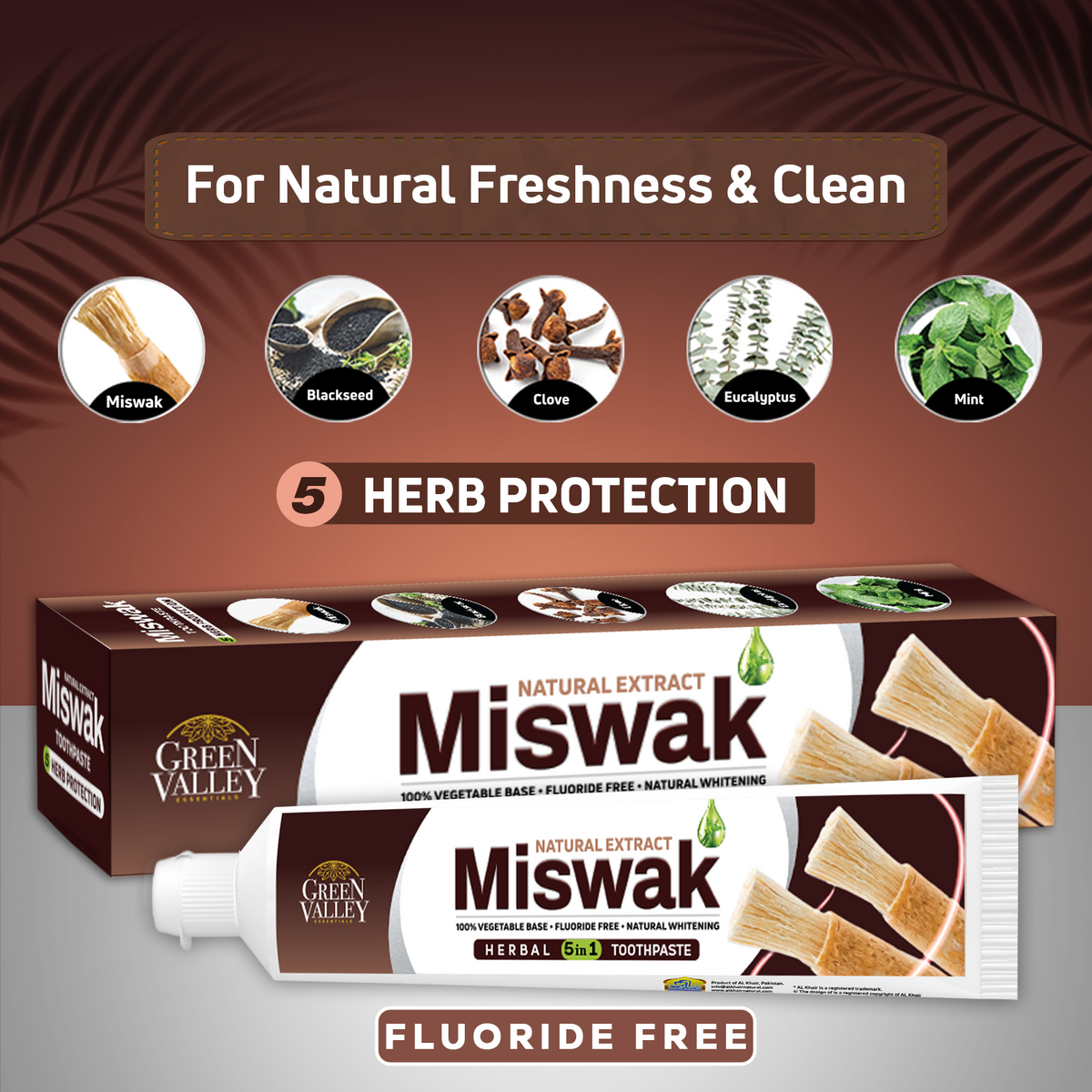 GV TOOTHPASTE MISWAK 185g